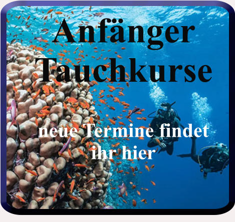 Anfänger Tauchkurse  neue Termine findet  ihr hier